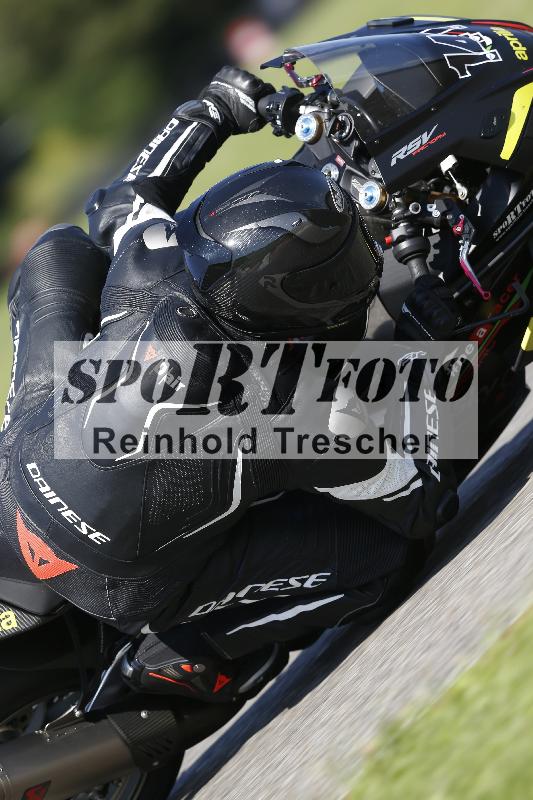 /Archiv-2024/58 13.08.2024 Paddys Races Days-Brenner25 ADR/Sport-Profi/141